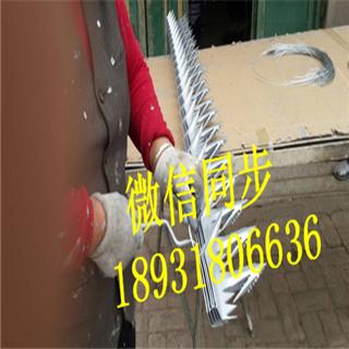 防爬刺釘